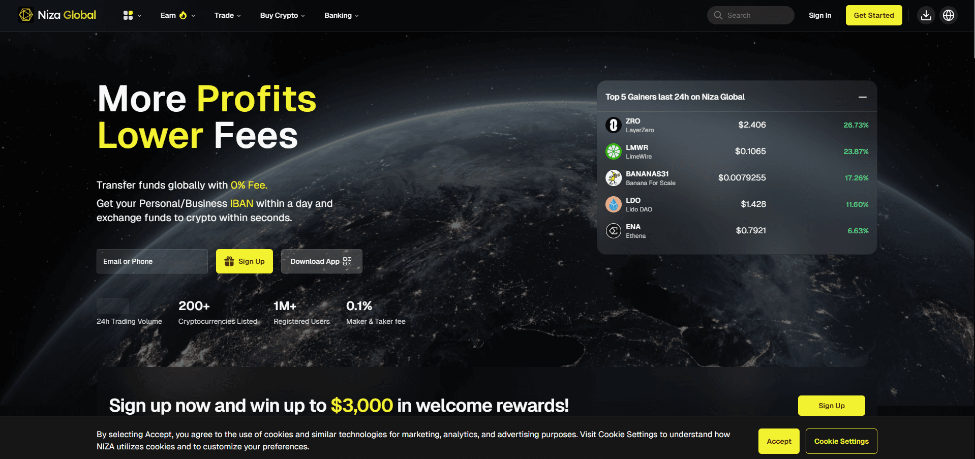 NIZA company website: part of work screenshot